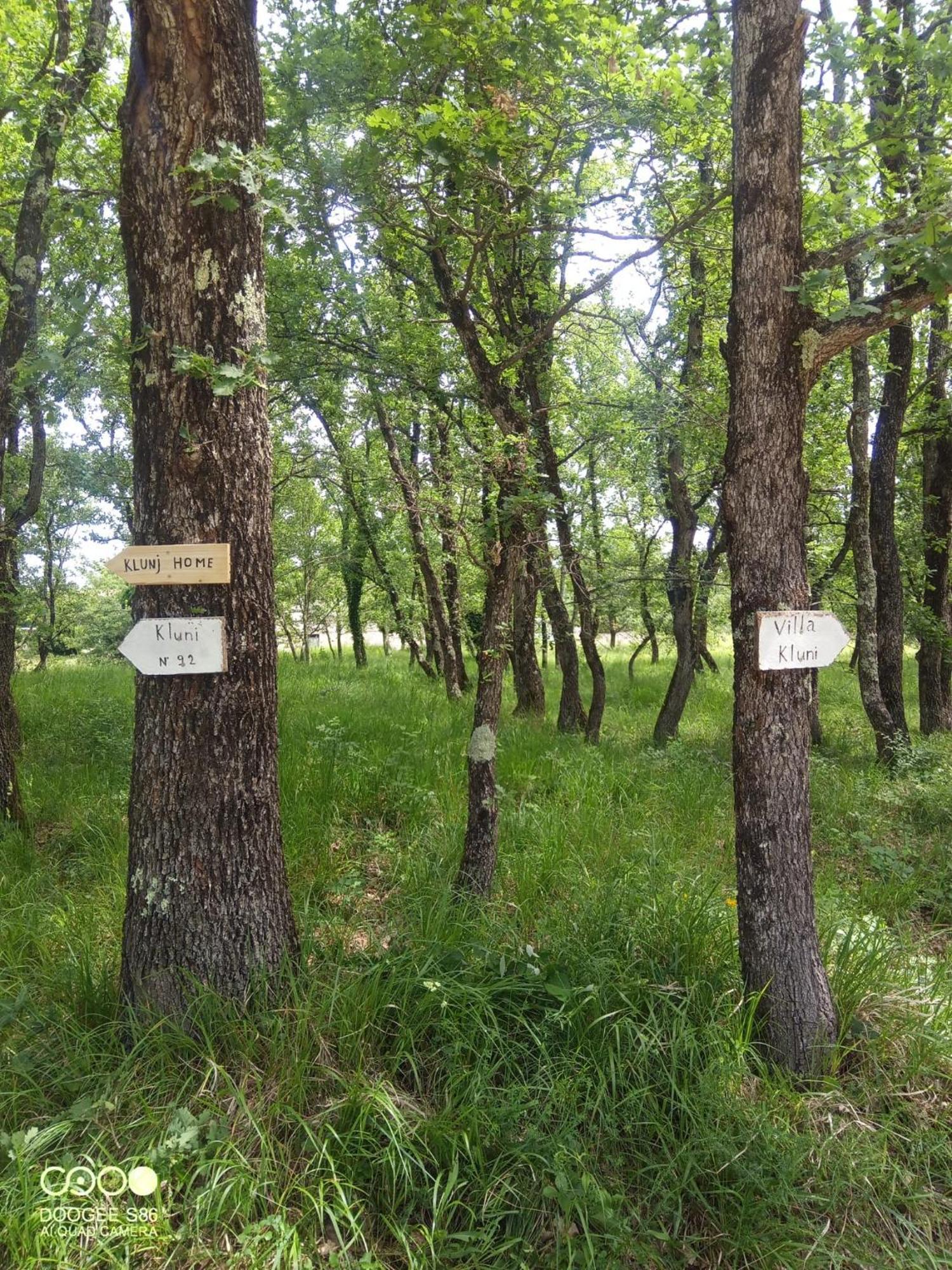 Klunj Case de vacanță *